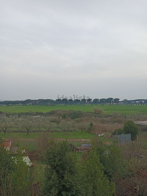 casa indipendente in affitto a Roma in zona Colle Prenestino