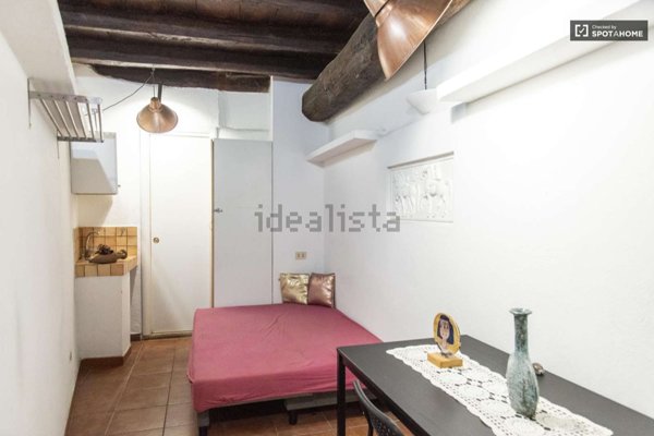 appartamento in affitto a Roma in zona Trastevere