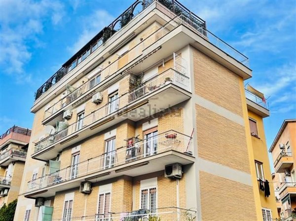 appartamento in affitto a Roma in zona Trionfale