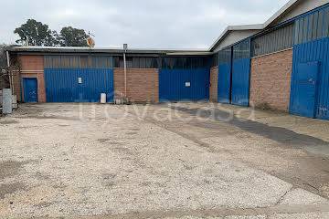 locale commerciale in affitto a Roma in zona Castel di Leva