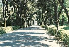 appartamento in affitto a Roma in zona Pinciano