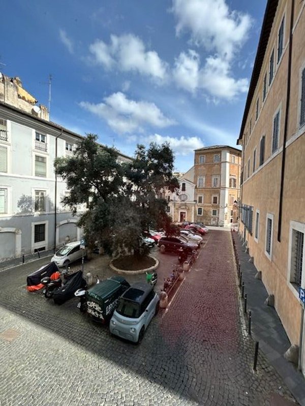 appartamento in affitto a Roma in zona Campo Marzio