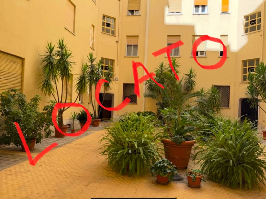 appartamento in affitto a Roma in zona Tuscolano