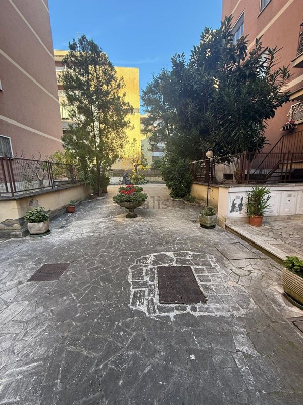 appartamento in affitto a Roma in zona Monte Sacro/Talenti