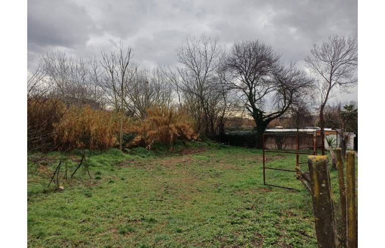 terreno agricolo in affitto a Roma in zona Romanina
