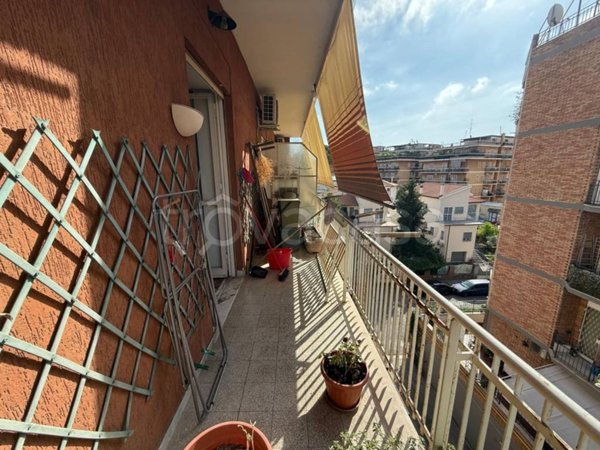 appartamento in affitto a Roma in zona Monte Sacro/Talenti