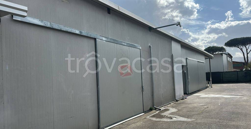 locale commerciale in affitto a Roma in zona Finocchio