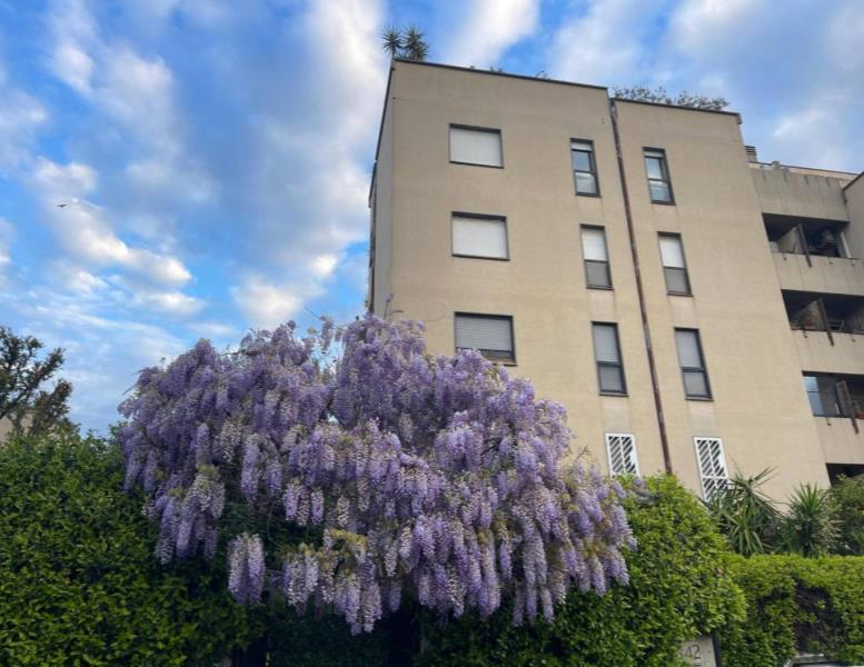 appartamento in affitto a Roma in zona Torrino