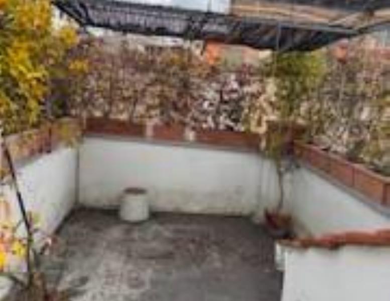 appartamento in affitto a Roma in zona Campo Marzio