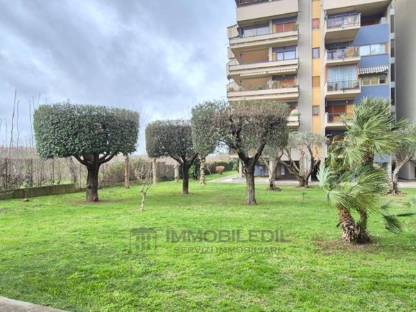 appartamento in affitto a Roma in zona Giuliano Dalmata