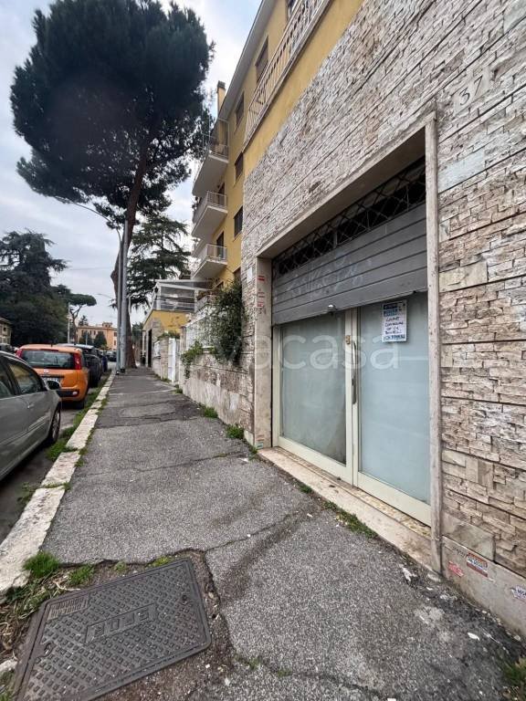 negozio in affitto a Roma in zona Monte Sacro/Talenti