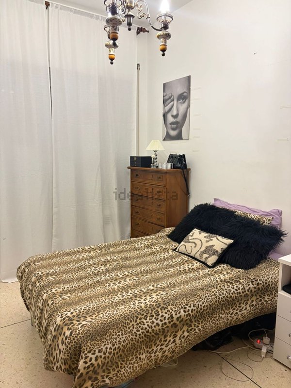 appartamento in affitto a Roma in zona Appio Latino