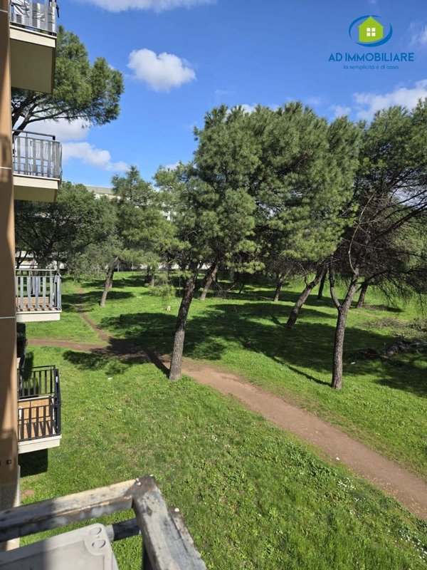 appartamento in affitto a Roma in zona Cinecittà