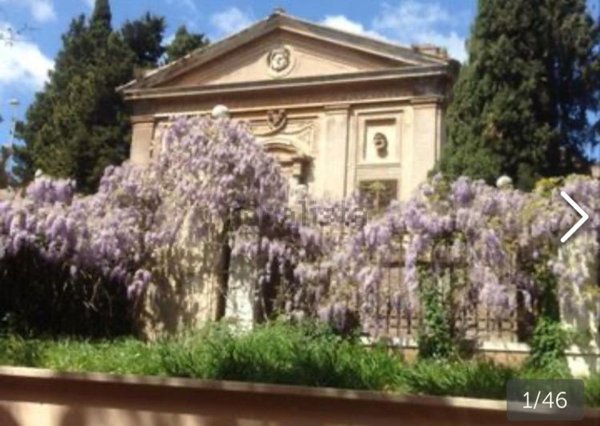 appartamento in affitto a Roma in zona Salario