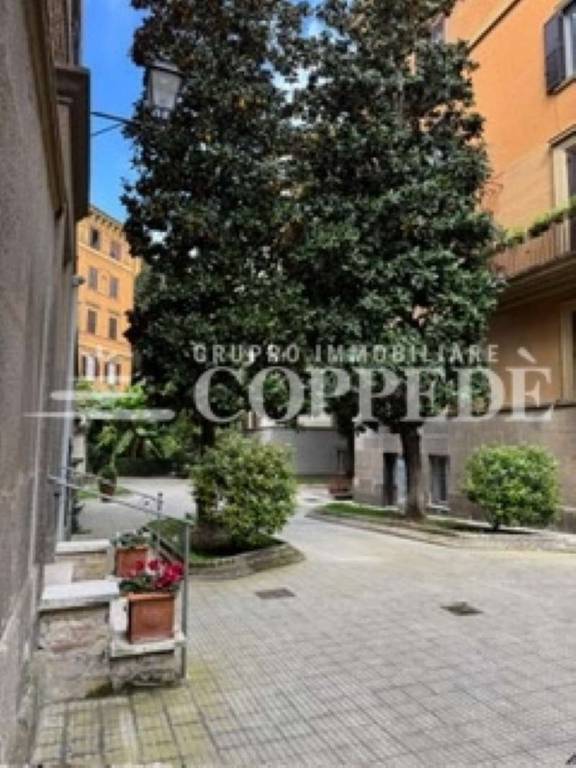 locale commerciale in affitto a Roma in zona Pinciano