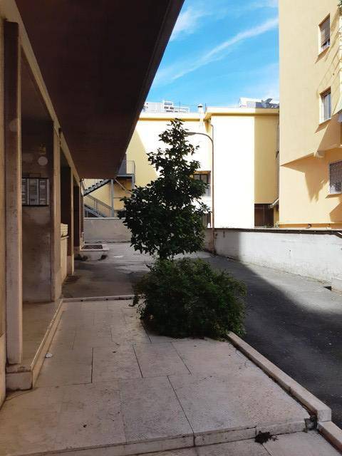 appartamento in affitto a Roma in zona Nomentano