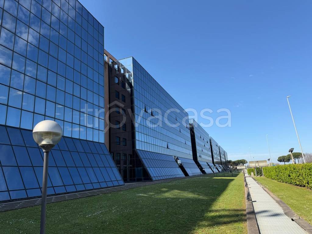 ufficio in affitto a Roma in zona Tor Vergata/Torrenova