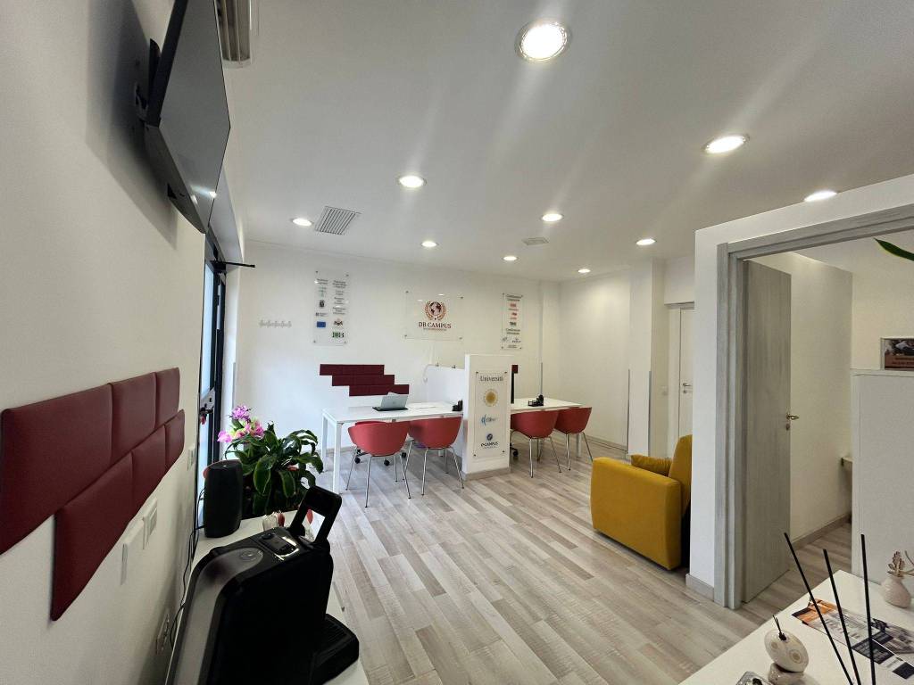 negozio in affitto a Roma in zona Tor Vergata/Torrenova