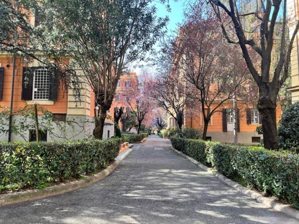 appartamento in affitto a Roma in zona Flaminio