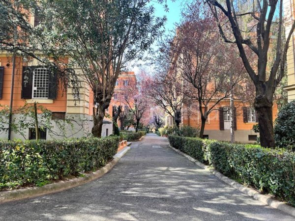 appartamento in affitto a Roma in zona Flaminio