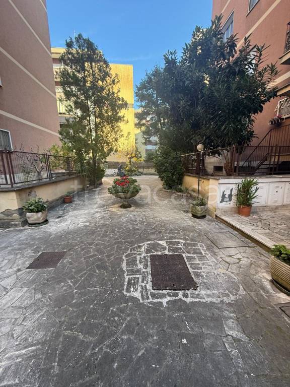 appartamento in affitto a Roma in zona Monte Sacro/Talenti