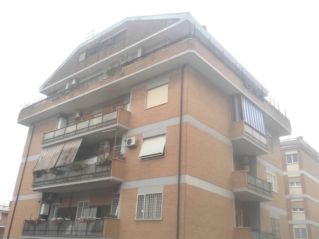 appartamento in affitto a Roma in zona Torrevecchia