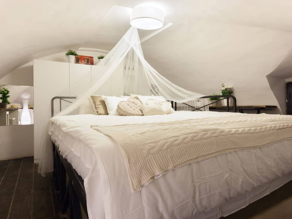 appartamento in affitto a Roma in zona Trastevere