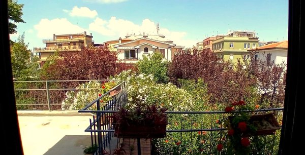 villa in affitto a Roma in zona Trionfale