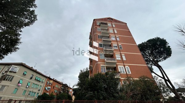 appartamento in affitto a Roma in zona Appio Claudio