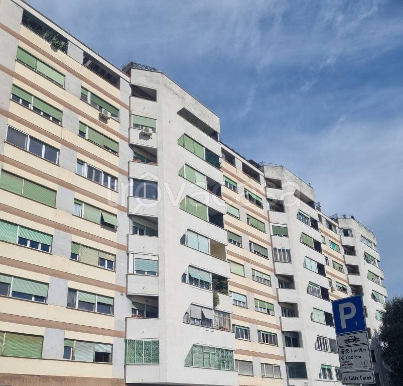 appartamento in affitto a Roma in zona Parioli