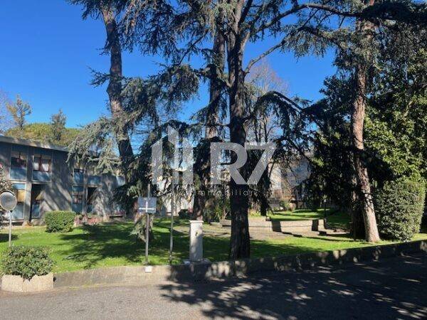 appartamento in affitto a Roma in zona Flaminio