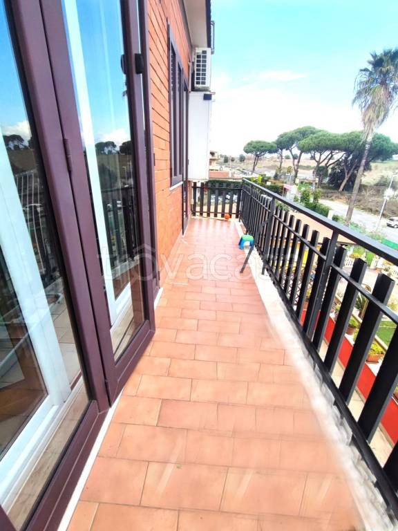 appartamento in affitto a Roma in zona Borghesiana