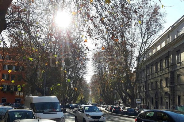 negozio in affitto a Roma in zona Trastevere