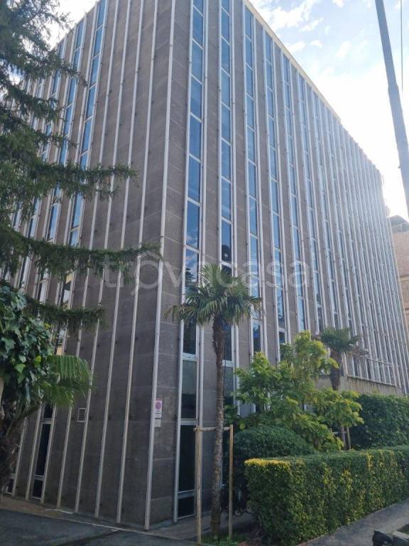 appartamento in affitto a Roma in zona Flaminio