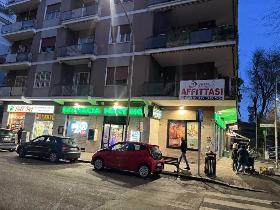 appartamento in affitto a Roma in zona Ardeatino