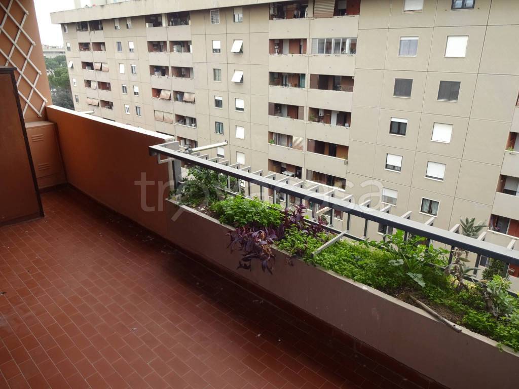 appartamento in affitto a Roma