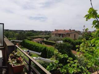 appartamento in affitto a Roma in zona Monte Sacro/Talenti