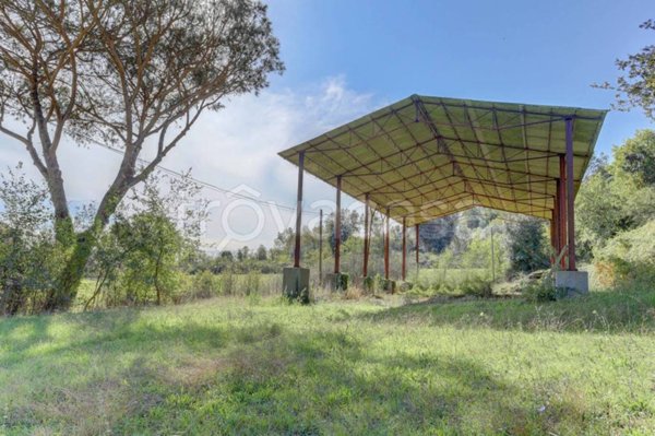 locale commerciale in affitto a Roma in zona Aurelio