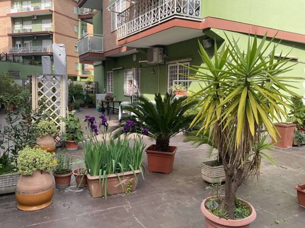 appartamento in affitto a Roma in zona Monte Sacro/Talenti