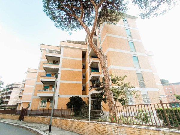 appartamento in affitto a Roma in zona Ostia