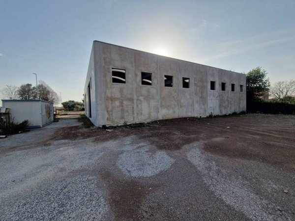 locale commerciale in affitto a Roma in zona Tor Vergata/Torrenova