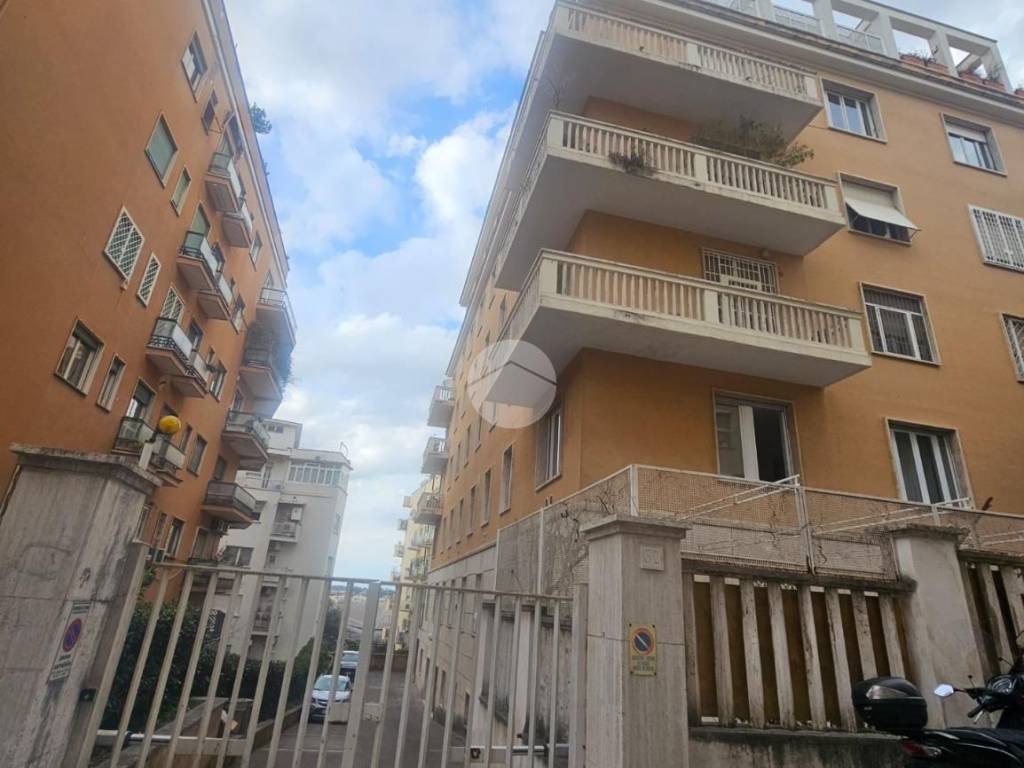 appartamento in affitto a Roma in zona Pinciano