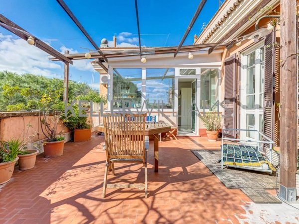 appartamento in affitto a Roma in zona Flaminio