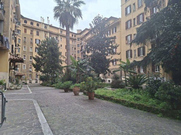 appartamento in affitto a Roma in zona Trieste
