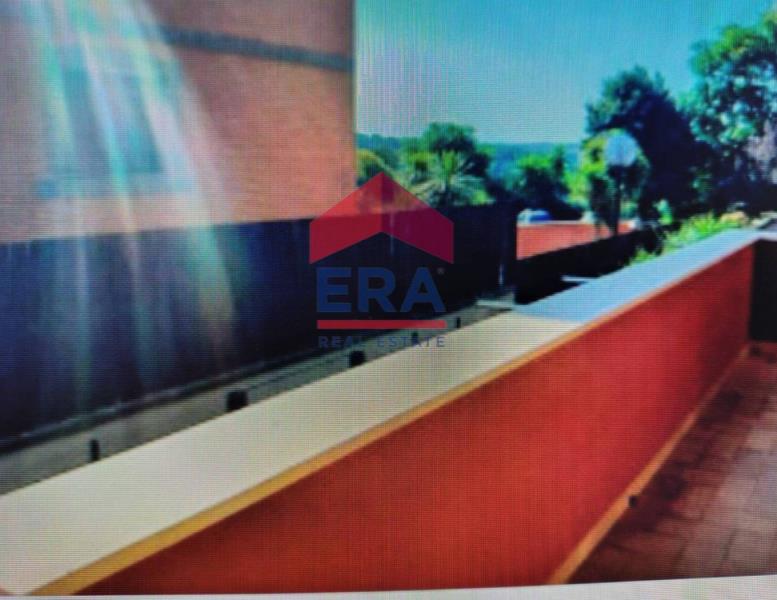 appartamento in affitto a Roma in zona Trionfale