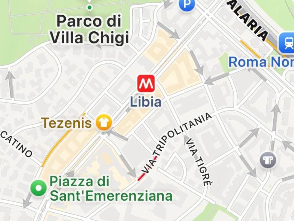 appartamento in affitto a Roma in zona Trieste