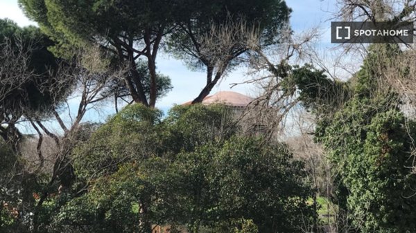 appartamento in affitto a Roma in zona Collatino