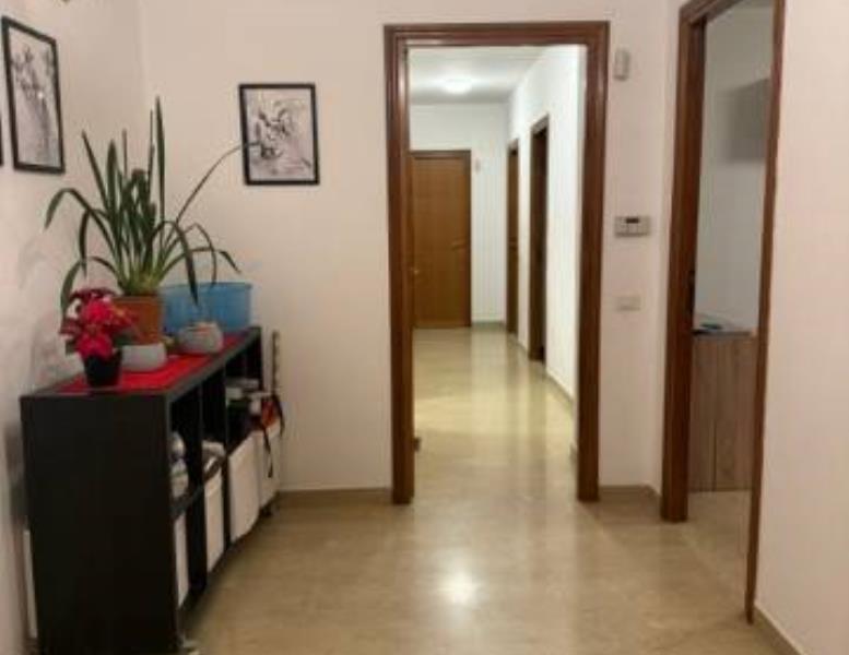 appartamento in affitto a Roma in zona EUR