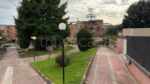 appartamento in affitto a Roma in zona Giuliano Dalmata