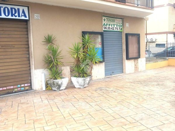 appartamento in affitto a Roma in zona Tor Vergata/Torrenova